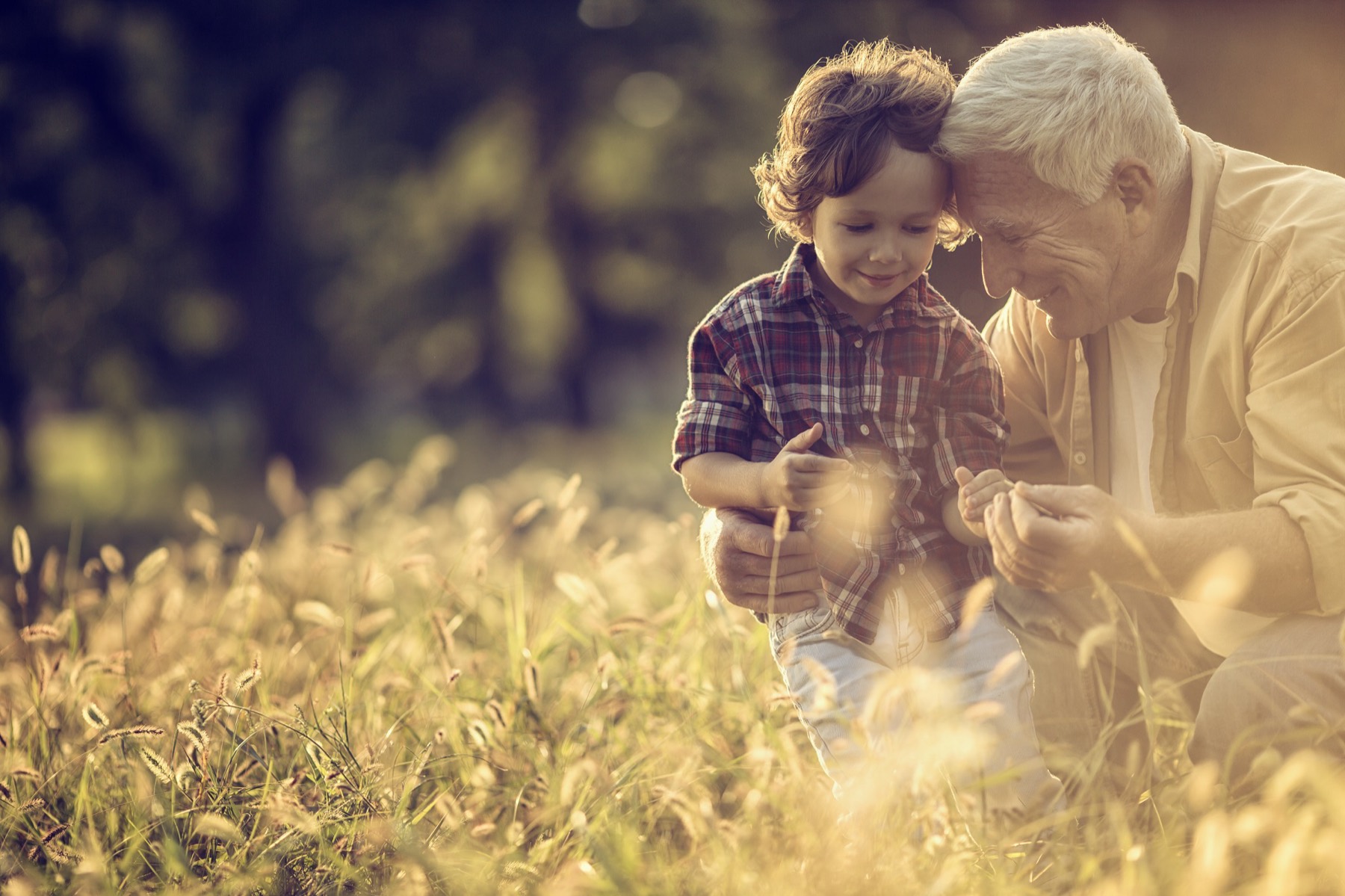 Grandfather and grandson spending time together in a sunlit field