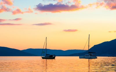 February 2020 Insights