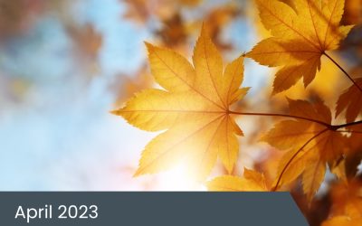 April 2023 Insights