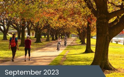 September 2023 Insights