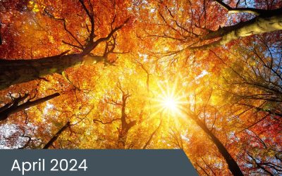 April 2024 Insights