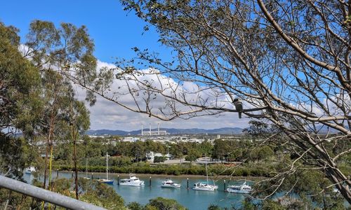 Gladstone Harbour