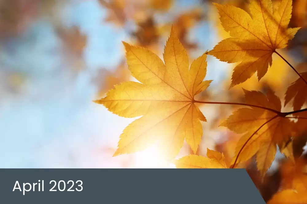 April 2023 Insights