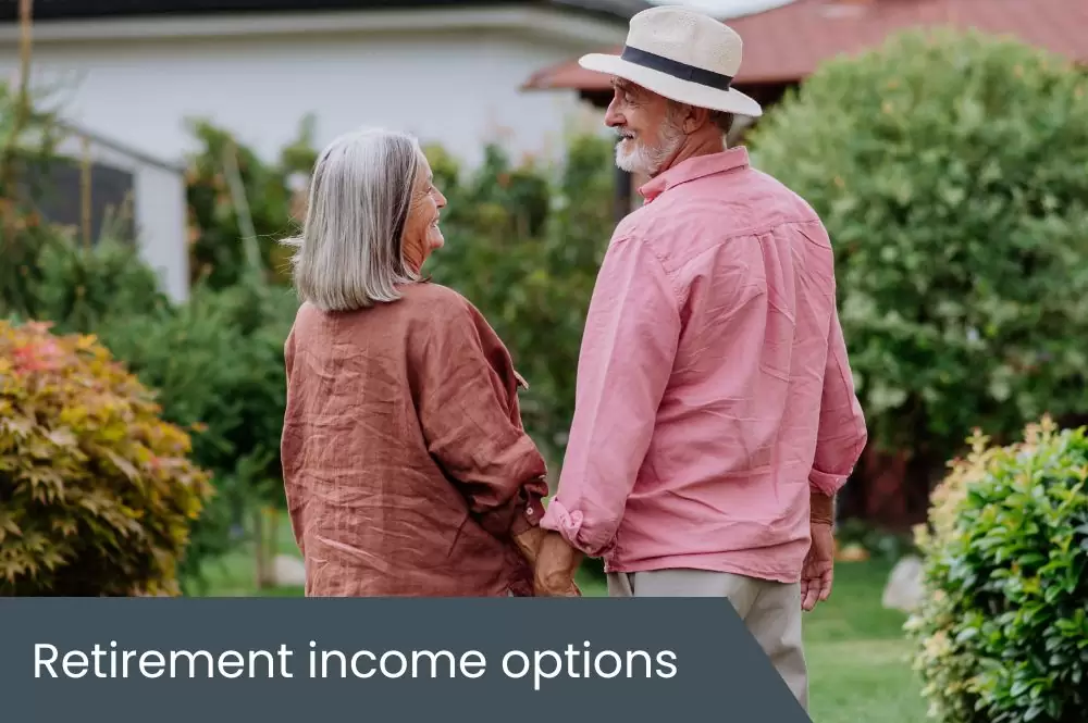 How do retirement income options compare?