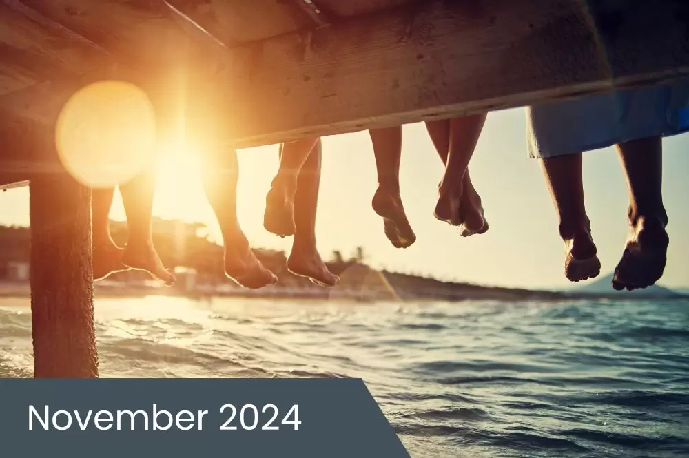 November 2024 Insights