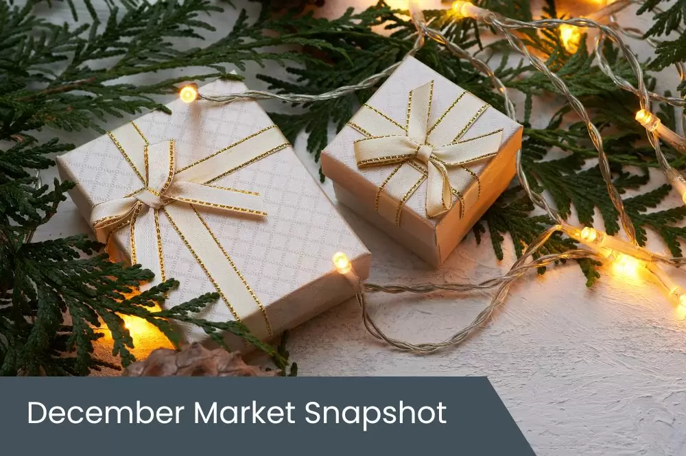 December 2024 Insights December 2024 Insights
